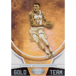 Panini Certified 2019-2020 Gold Team Giannis Ante..